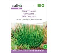 Sativa Herbes Aromatiques Bio "Ciboulette" - 1 sachet