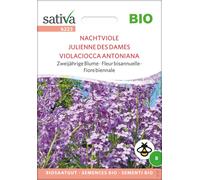 Sativa Julienne des Dames Bio - 1 sachet