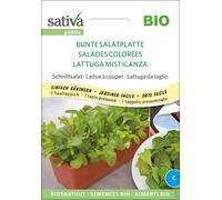 Sativa Laitue à Couper Bio "Salades Colorées" | Tapis Présemé - 1 sachet