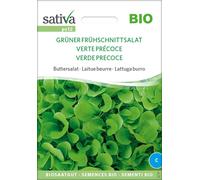 Sativa Laitue Beurre Bio "Verte Précoce" - 1 sachet