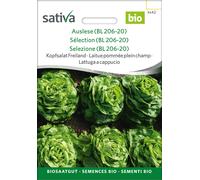 Sativa Laitue Pommée Plein Champ Bio "Brighella" - 0,25 g