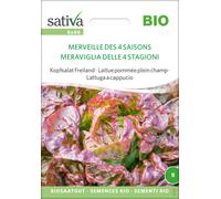 Sativa Laitue Pommée Plein Champ Bio "Merveille des 4 Saisons" - 1 sachet