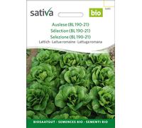 Sativa Laitue Romaine Bio "Lattich Pulcinella" - 0,25 g