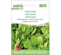 Sativa Laitue Verte à Couper Bio "Vénitienne" - 1 sachet