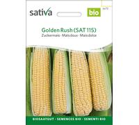 Sativa Maïs Doux bio "Golden Rush" - 1 sachet