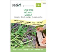 Sativa Mélange de Salade Asiatique Bio | Tapis Présemé - 1 sachet