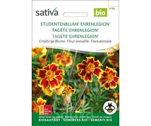Sativa Oeillet d'Inde Nain Bio - 1 sachet