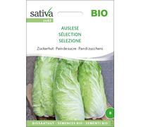Sativa Pain de Sucre Bio "Sélection" - 1 sachet