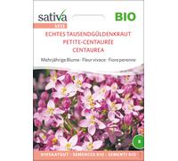 Sativa Petite Centaurée Bio - 0,25 g