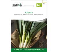 Sativa Poireau d'Hiver Bio "Atlanta" - 1 g