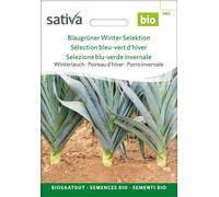 Sativa Poireau d'Hiver Bio "Sélection Bleu-Vert d'Hiver" - 1,25 g