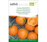 Sativa Tomate Bio "Sélection" - 1 sachet