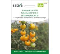 Sativa Tomate Cerise Bio '"Mareile" - 1 sachet