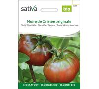 Sativa Tomate Charnue Bio "Noire de Crimée originale" - 1 sachet