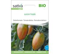 Sativa Tomate Datte Bio "Lucky Tiger" - 1 sachet