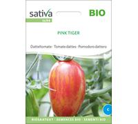 Sativa Tomate Datte Bio "Pink Tiger" - 1 sachet