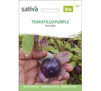 Sativa Tomatillo du Mexique Bio "Purple" - 1 sachet