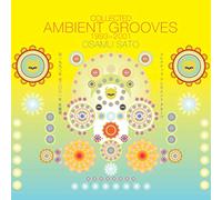 Collected Ambient Grooves 1993/2001