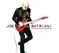 SATRIANI, JOE - Black Swans and Wormhole Wizards