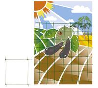 SATURNIA Filet tutoré (Rouleau 1,5 x 10 mètres) Filet de Protection pour Plantes