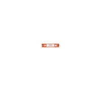 Satya Sai Baba - encens indien d'ambiance pyramids satya sai baba 1x (12 batons) Neutre, Multicolore G