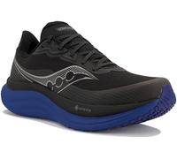 Saucony Triumph 23 GTX Homme 41