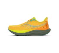 Saucony Triumph 23 Homme 49