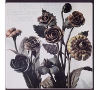 Sauer, Heinz -Quartet- - Metal Blossoms [Import]