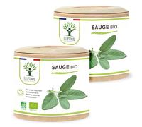 Sauge bio - Bioptimal - Complément alimentaire - Ménopause Bouffée de Chaleur - Sueurs Nocturnes Règles Douloureuses - Digestion - 250mg/gélule - Fabriqué en France - Certifié Ecocert - 2x60 gélules