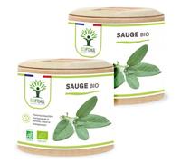 Sauge Bio - Salvia Officinalis - Complément Alimentaire - Cycle Menstruel Activité Hormonale Transpiration Digestion - Fabriqué En France - Vegan - 2x60 Gélules