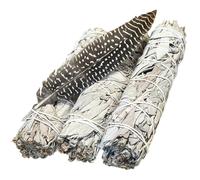 Sauge blanche amérindienne XXL de Californie