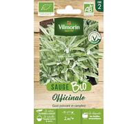 Graine GENERIQUE vilmorin graines de sauge - bio