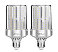 SAUGLAE Ampoules LED 32W, Équivalent 260W Ampoule Incandescente, 3600Lm, 3000K Blanc Chaud, Ampoules à E27 Vis Edison, 2 Pièces
