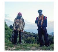 Saul Williams Meets Carlos Nino And Friends At Treepeople - Cd Album