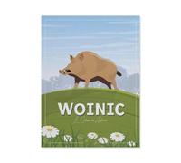 Saulces-Monclin France Woinic,Puzzle en Bois 1000 Pièce Classique Adultes Puzzles Enfants Apprentissage Assembler des Jouets(75x50cm)-BN48