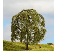 Noch Arbre de modélisme Saule pleureur, coloré à la main 15 cm – pour H0/TT/N/Z