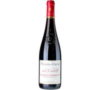 Saumur Champigny 2025 - Plessis-Duval