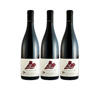 Saumur-Champigny Clos de L'Echelier - Rouge 2019 - Domaine des Roches Neuves - Vin Rouge du Val de Loire (3x75cl)