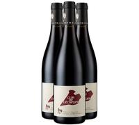 Saumur-Champigny Clos de L'Echelier - Rouge 2020 - Domaine des Roches Neuves - Vin Rouge du Val de Loire (3x75 iodynamie