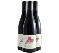 Saumur-Champigny Clos de L'Echelier - Rouge 2022 - Domaine des Roches Neuves - Vin Rouge du Val de Loire (3x75cl) BIO