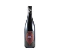 Saumur-Champigny Outre Terre - Cuvée en Amphore - Rouge 2019 - Domaine des Roches Neuves - Vin Rouge du Val de Loire (75cl)