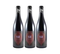 Saumur-Champigny Outre Terre - Cuvée en Amphore - Rouge 2019 - Domaine des Roches Neuves - Vin Rouge du Val de Loire (3x75cl)