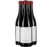 Saumur-Champigny Pulsation - Rouge 2024 - Les Eclaireurs - Vin Rouge du Val de Loire (3x75 IO