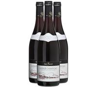 Saumur-Champigny - Rouge 2023 - Guy Saget - Vin Rouge du Val de Loire (3x75cl)