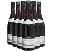 Saumur-Champigny - Rouge 2024 - Guy Saget - Vin Rouge du Val de Loire (6x75cl)