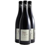 Saumur-Champigny Terres Chaudes - Rouge 2022 - Domaine des Roches Neuves - Vin Rouge du Val de Loire (3x75cl) BIO