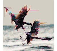 Sauna,die - So Schön Wie Jetzt War ES Noch Nie [Import]