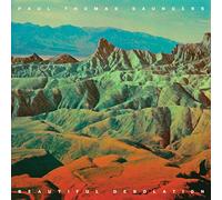 Saunders,Paul Thomas - Beautiful Desolation [Import]