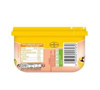 SAUPIQUET SALADIÈRES MEXICANA SNACKING 1/3 220G - SAUPIQUET - LOT DE 4 - Offre Special