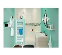 SAUTER Seche serviette Goreli Digital - 750W - Blanc G